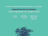 Zen Basil - Edible Basil Seeds, USDA Organic, NON-GMO, Raw, Premium 14 oz bag