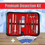 20 Pcs Advanced Biology Lab Anatomy Medical Student Dissecting Dissection Kit Set with Scalpel Knife Handle Blades