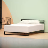 Zinus Memory Foam 12 Inch Green Tea Mattress, Queen