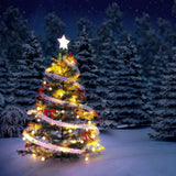 33ft 100 LEDs Battery Operated String Lights Globe Fairy Lights with Remote Control