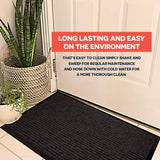 2-Pack Indoor Outdoor Mat for Home, Office, RV, and More, Black Door Mats, 17 by 29.5-inch, black
