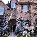 200" Halloween Spider Web + 59" Giant Spider Decorations Fake Spider