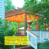 Ambience Pro - Waterproof LED Outdoor Solar String Lights - 1W Vintage Edison Bulbs - 27 Ft