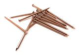 12 Pack USA Made! Copper 4 Inch Long Nail Spikes, Kills Trees Stumps Roots Reliable
